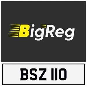 BS 110 DEFENDER DATELESS BEN BOB BIL BRI BRY BOBBY BEA BE NUMBER PLATE BSZ 110 - Picture 1 of 5