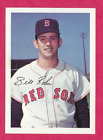1967 Team Issue BILL ROHR Boston Red Sox 4 x 5-5/8 RARE
