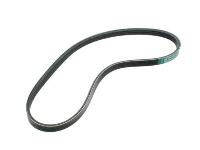 Para 1998-2001 Chevrolet Metro Multi Rib Belt 98372NKCT 1999 2000 1.3L 4 cilindros - Imagem 1 de 2