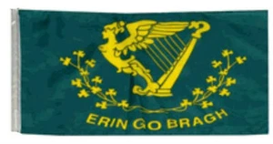 12x18 12"x18" Erin Go Bragh Irlanda Irlandesa Manga Bandera Barco Coche Jardín 100D - Imagen 1 de 1