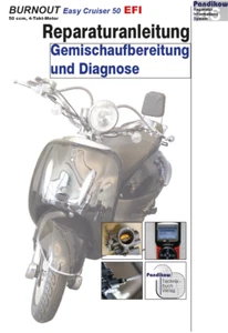 Reparaturanleitung RIS Burnout Easy Cruiser 50, Gemischaufbereitung + Diagnose - Bild 1 von 4