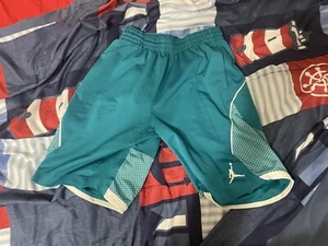 Nike Dri-Fit Jumpman M 140-152 CM 10-12 Years Shorts Excellent Condition Used - Picture 1 of 4