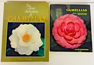 Camellias Colour Dictionary Book Lot x2 Stirling Macoboy Hardcover Gardening - Picture 1 of 24