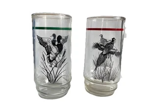 Vtg Birds Pheasant Ducks Striped Libbey 6" tumbler drinking glasses Set of 2 - Picture 1 of 2