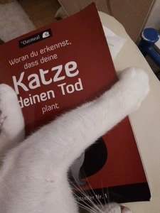 Woran Du Erkennst, Dass Deine Katze Deinen Tod Plant von The Oatmeal (2013,... - Bild 1 von 7