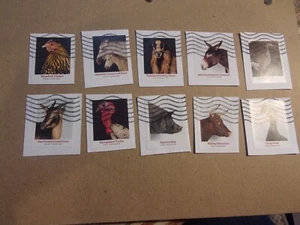 USA Used, 2021 Issue, Heritage Breeds (Set of 10) - Picture 1 of 1
