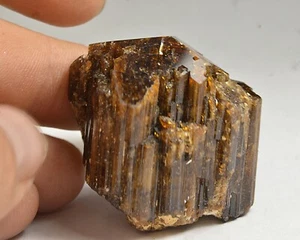 Cristal de tourmaline Dravite terminé d'un coté 49g spécimen de collection - Picture 1 of 4