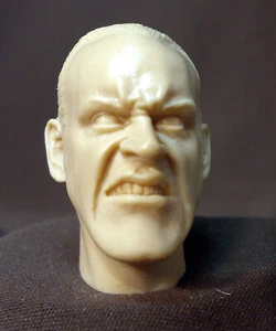 CMD-4 CUSTOM  RESIN UNPAINTED HEAD SCULPT Action figures 1/6 Scale - Bild 1 von 2