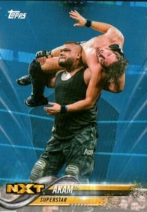 2018 Topps WWE Wrestling Card Insert Blue Parallel #3 Akam /99 SP - Picture 1 of 2