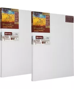 9”x20” Masterpiece Vincent Pro Pau Linen 7/8” Deep Canvas (2 Pack) - Picture 1 of 4