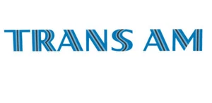 Trans Am Decal ~ Vinyl Car Wall Sticker - Small to XLarge D2 - Foto 1 di 1