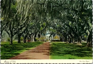 Mt Pleasant South Carolina SC Boone Hall Plantation Avenue of Oaks Postcard - Picture 1 of 2