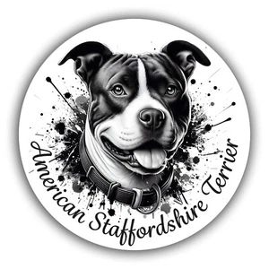 American Staffordshire Terrier Aufkleber - Autoaufkleber | Motiv: Splash - Bild 1 von 1