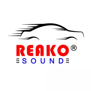 REAKO Car Radio Stereo Wiring Harness Contact customer service before purchase - Picture 1 of 1