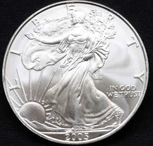 American Silver Eagle 2005 99 % $1 - Imagen 1 de 12