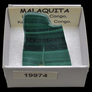 MALAQUITA "Placa" (L'Etoile du Congo m., Katanga, D.R. Congo) #19974 / Malachite - Imagen 1 de 1