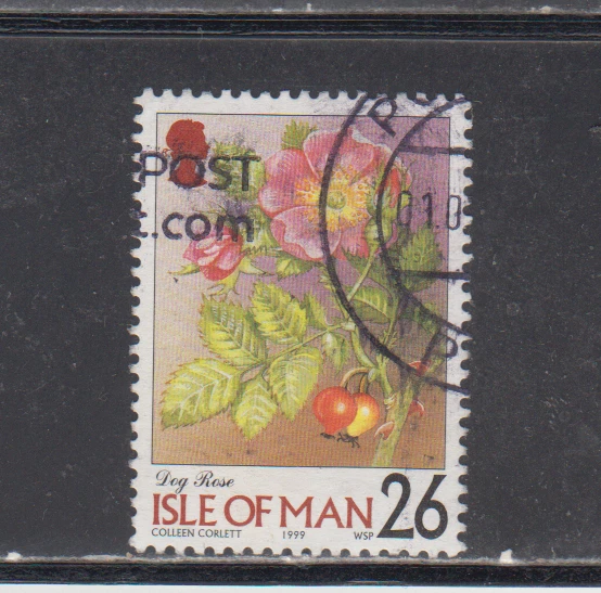 ISLE OF MAN :  1998-99 - USED  - SCOTT #  800  FLOWERS - Image 1 of 1