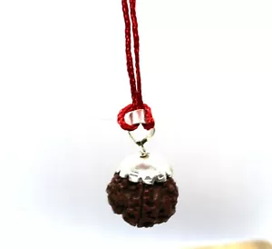 RUDRAKSHA RUDRAKSH 5 MUKHI COLLECTOR QUALITY BEAD PENDANT HINDU YOGA PRAYER RARE - Picture 1 of 8