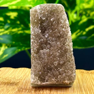 60G Geoda Amatista Natural Cuarzo Racimo Cristal Espécimen Curación - Imagen 1 de 8