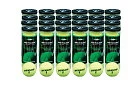 Dunlop Championship Tennis Balls Hard Court 1pack