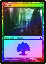 Forest (303) FOIL Ravnica: City of Guilds NM Basic Land MAGIC CARD ABUGames