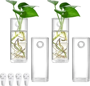 4 Pack Wall Hanging Glass Planters Plant Terrarium, Plants Holders Air Plants - Picture 1 of 8