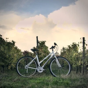 ⚜️ Fully Restored "Giant Cypress" Hybrid Bike ultralight aluminium ⚜️ - Picture 1 of 10