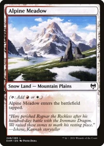 Magic the Gathering (mtg): KHM: Alpine Meadow - Foil - Picture 1 of 1