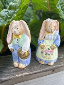 Mr. And Mrs. Easter Bunny Digital Salt And Pepper Shaker Set - Country Bunnies - Bild 1 von 10