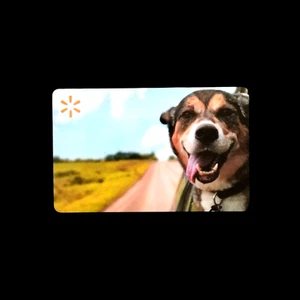 Walmart Dog Going for a Ride NEW COLLECTIBLE GIFT CARD NO VALUE #8745 - Picture 1 of 1
