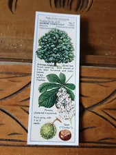  Ty-phoo  "Trees of the Countryside" 1937  Card No7