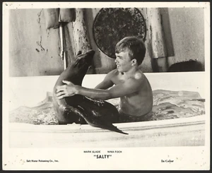 Salty TV-Serie 1974 Promo Foto Lobby Karte von Seven Stars Film - Bild 1 von 2
