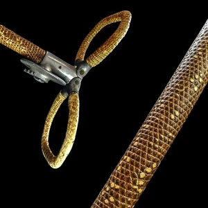 Swaine Adeney Brigg Shooting Stick Snake Skin Exotic Walking - Picture 1 of 10