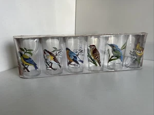 Vintage Bird Decorated Glasses VMC Reims France Set Of 6 Boxed Unused - Picture 1 of 11