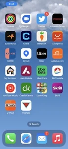 iPhone 13 avec ancien logo Twitter - Photo 1 sur 4