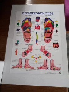 Lehrplakat Reflexzonen Fuss - Bild 1 von 1