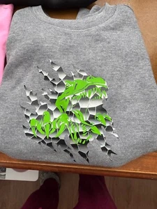 T-Rex sweatshirt Boys Size 8 - Picture 1 of 4