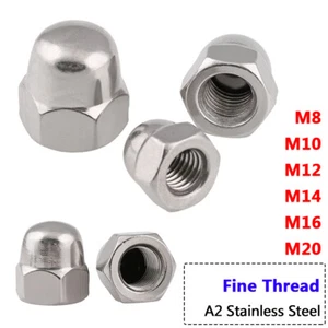 M8 M10 M12 M14 M16 M20 Fine Thread Acorn Nut Domed Cap Nuts Stainless Steel 304 - Picture 1 of 7