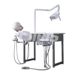 Dental Practice Simulator System Teaching Device Patient Manikin Phantom Model - Picture 1 of 6