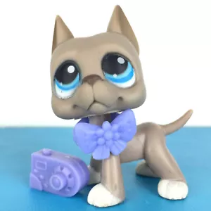 Authentic Littlest Pet Shop #184 Dogge Hund / Original Hasbro LPS - Bild 1 von 4