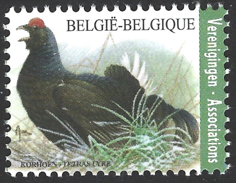 Bélgica 2013.  Pássaros.  Sc# 2618, sem marca de charneira  - Imagem 1 de 1