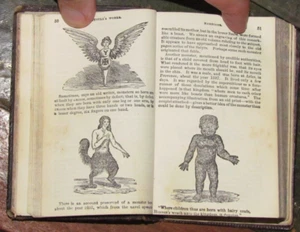 1857 WORKS OF ARISTOTLE THE FAMOUS PHILOSOPHER 5 PLATES MIDWIFERY PHYSIOGNOMY ^ - Foto 1 di 18