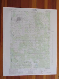 Onaway Michigan 1986 mappa topo USGS originale d'epoca - Foto 1 di 1