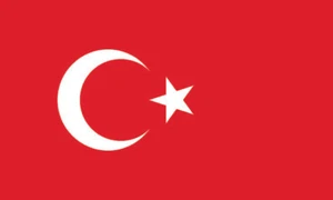 Lot of 10 Turkey Flag Face Stickers 1020 - 1.5" x 2.5" - Picture 1 of 1