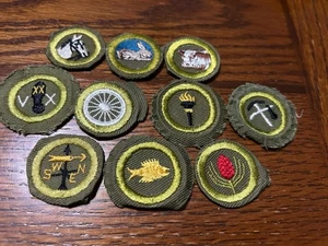 INSIGNIA DE MÉRITO NIÑO SCOUT TIPO E CONEJO CARNE DE RES SENDERISMO PESCA FORESTAL - Imagen 1 de 2