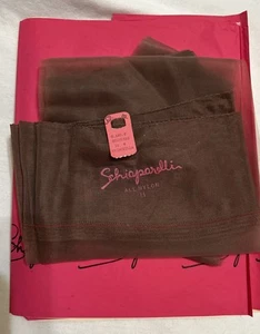 Vintage Schiaparelli Stockings Chinchilla Seamless One 1 Pair Size 11 Heel Toe - Picture 1 of 4