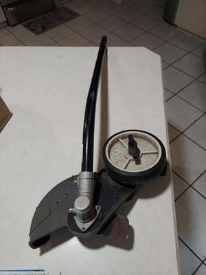 RYOBI EDGER EXPAND-IT 8" UNIVERSAL EJE RECTO BORDE ACCESORIO RYEDG12 Foto 1 de 4