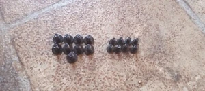 Tutte le viti alloggiamento per Vizio D40f-J09. 8x piccoli 9x grandi - Foto 1 di 3