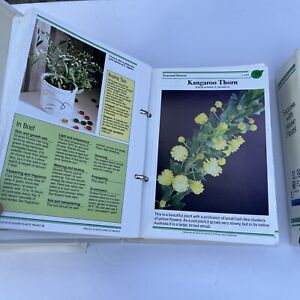 SUCCESS WITH HOUSE PLANTS, 3 Binders, 1980's Lots Of Information Groups 1-19