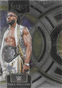 Trick Williams Select 2024 (P379) - Picture 1 of 2